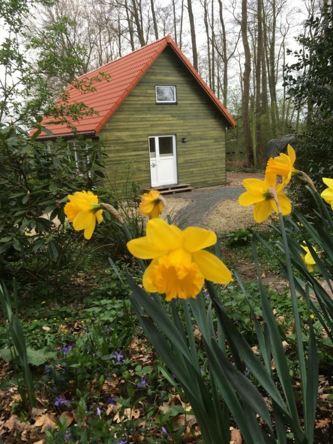 Ferienhof Ohlenbusch Worpswede Exterior foto